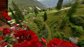 Suite, Balcony, Mountain View (Silberdistel) | Balcony view