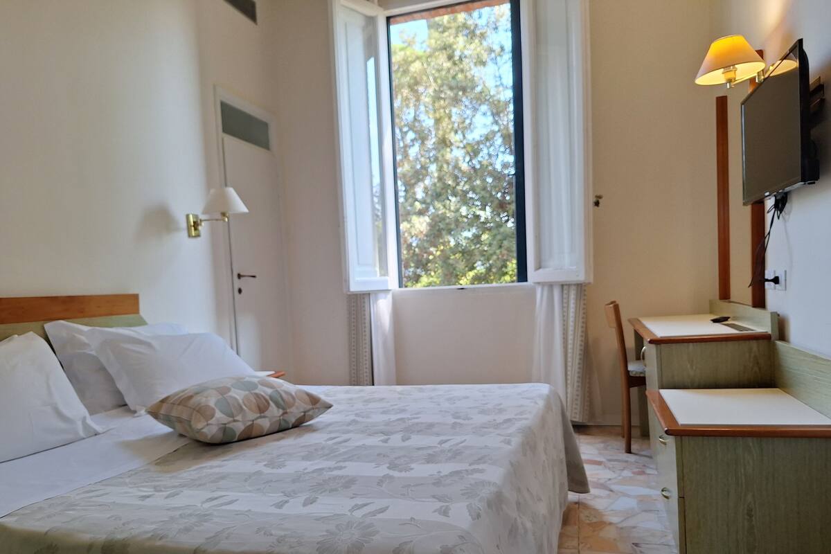 Hotelkamer met een bed, bureau, stoel, televisie en raam met uitzicht op bomen.