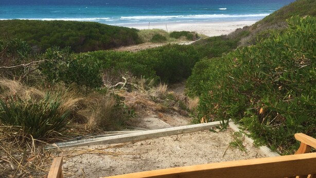 A wooden bench overlooking a beach with a view of the ocean and dense greenery. - Sandpiper Ocean Cottages (Douglas River)