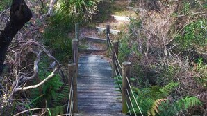 A wooden bridge in a forested area with natural surroundings. - Sandpiper Ocean Cottages (Douglas River)
