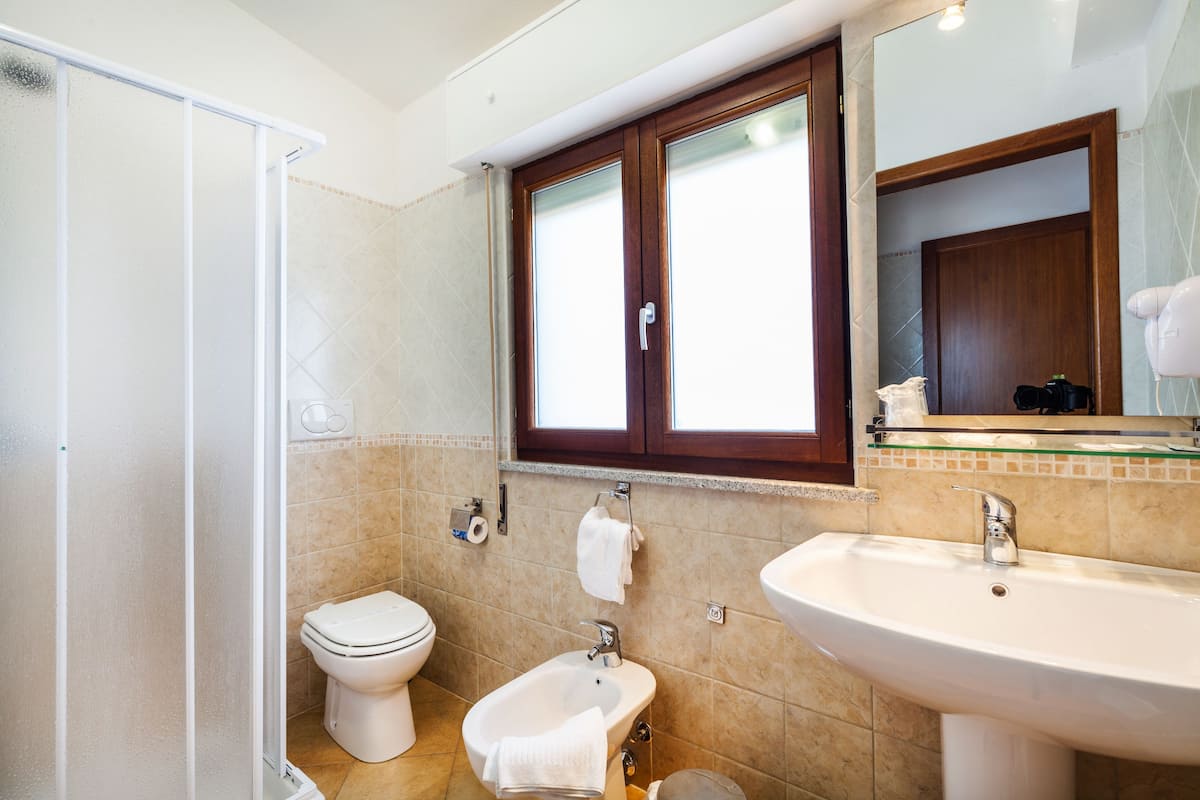 shower, free toiletries, hair dryer, bidet