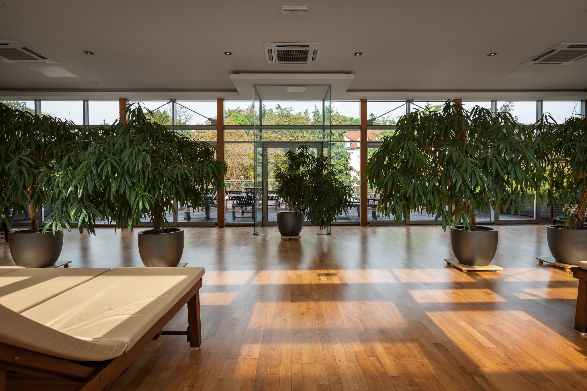 Un amplio espacio interior con ventanas grandes, suelo de madera y varias plantas en macetas.