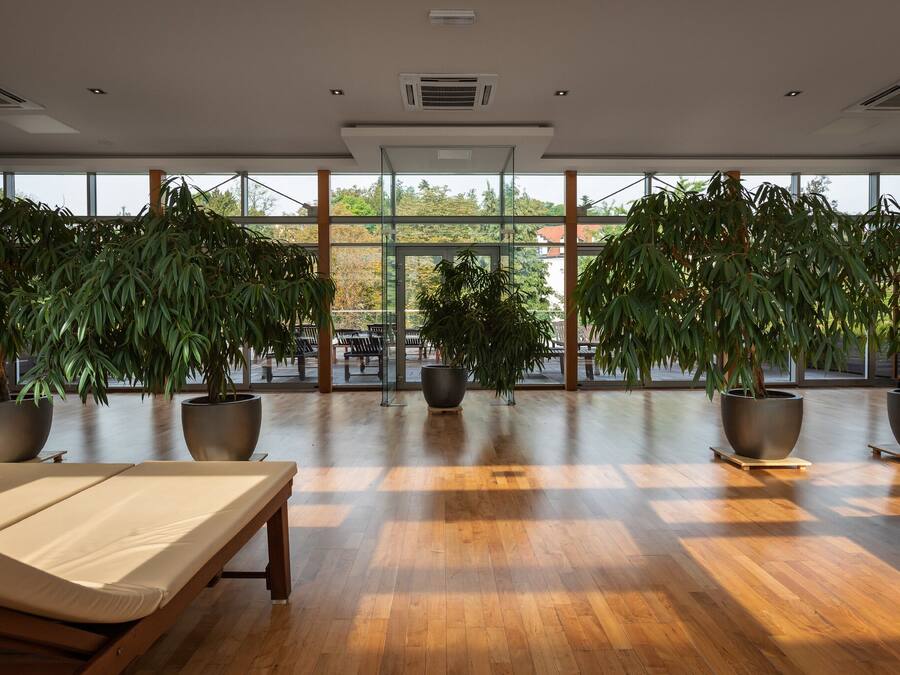 Un amplio espacio interior con ventanas grandes, suelo de madera y varias plantas en macetas.