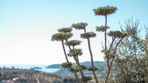 外觀細部
