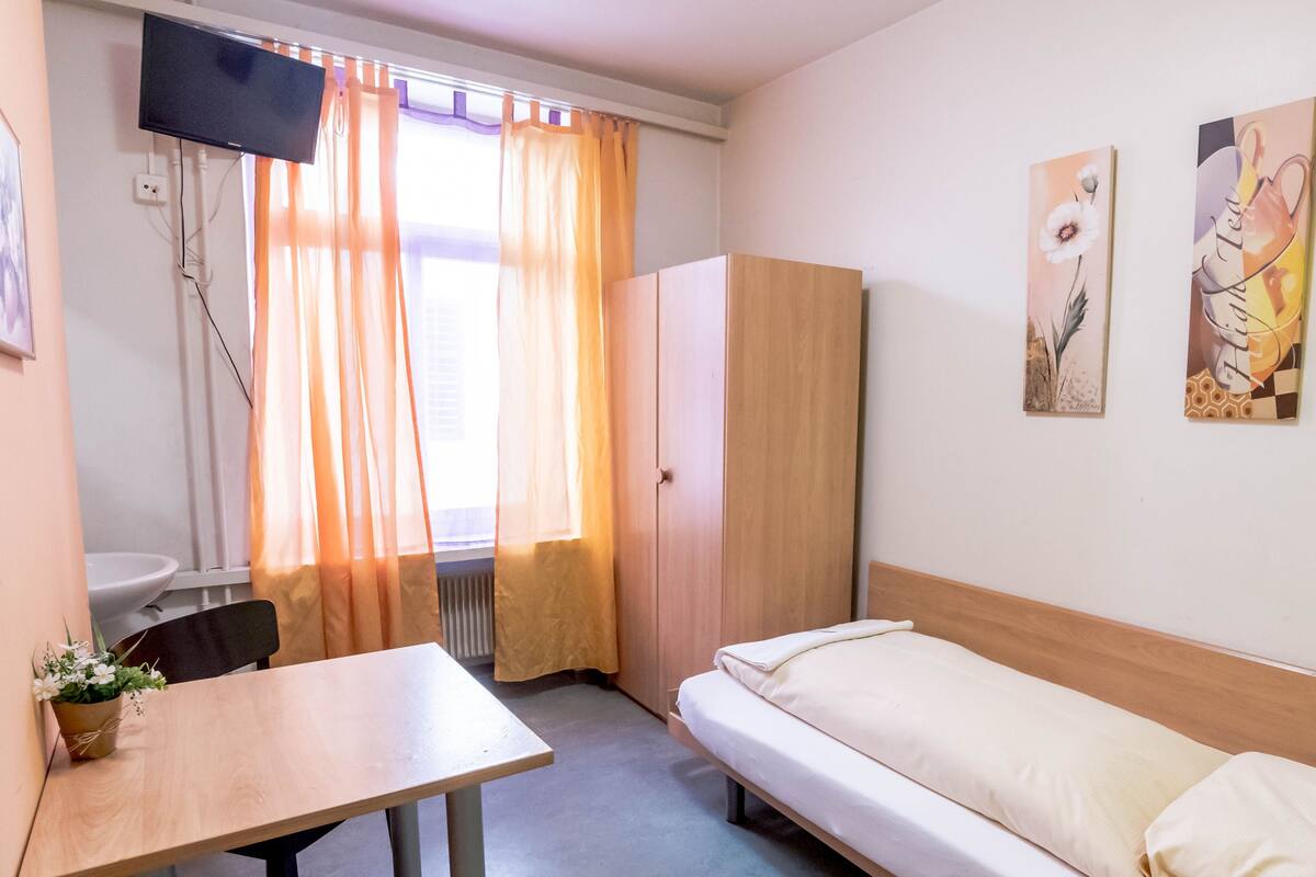 A hotel room with a single bed, a wooden wardrobe, a small table with a potted plant, a TV mounted on the wall, and two paintings on the wall.