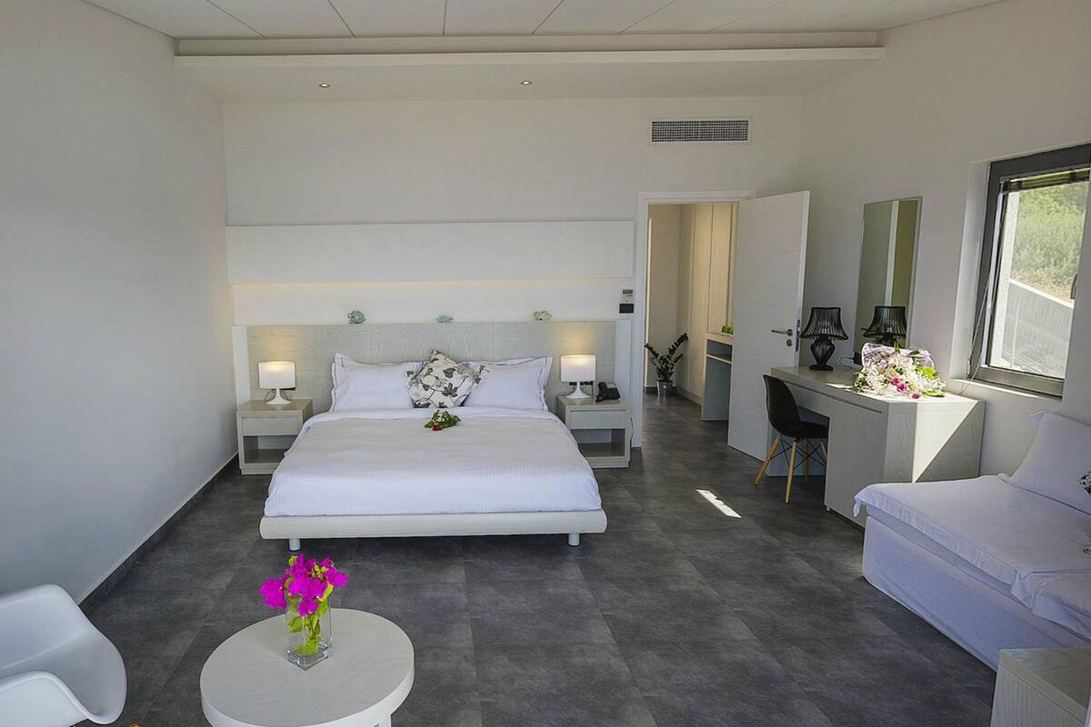 Hypo-allergenic bedding available, in-room safe, desk, laptop workspace