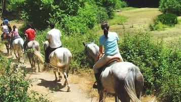 Un grupo de personas cabalgando por un sendero de tierra rodeado de follaje.