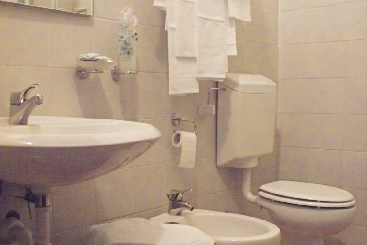 free toiletries, hair dryer, towels