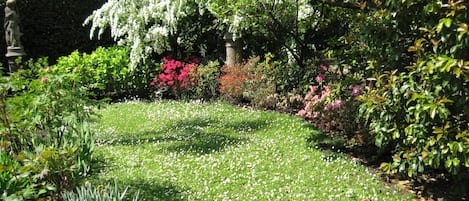 Jardin