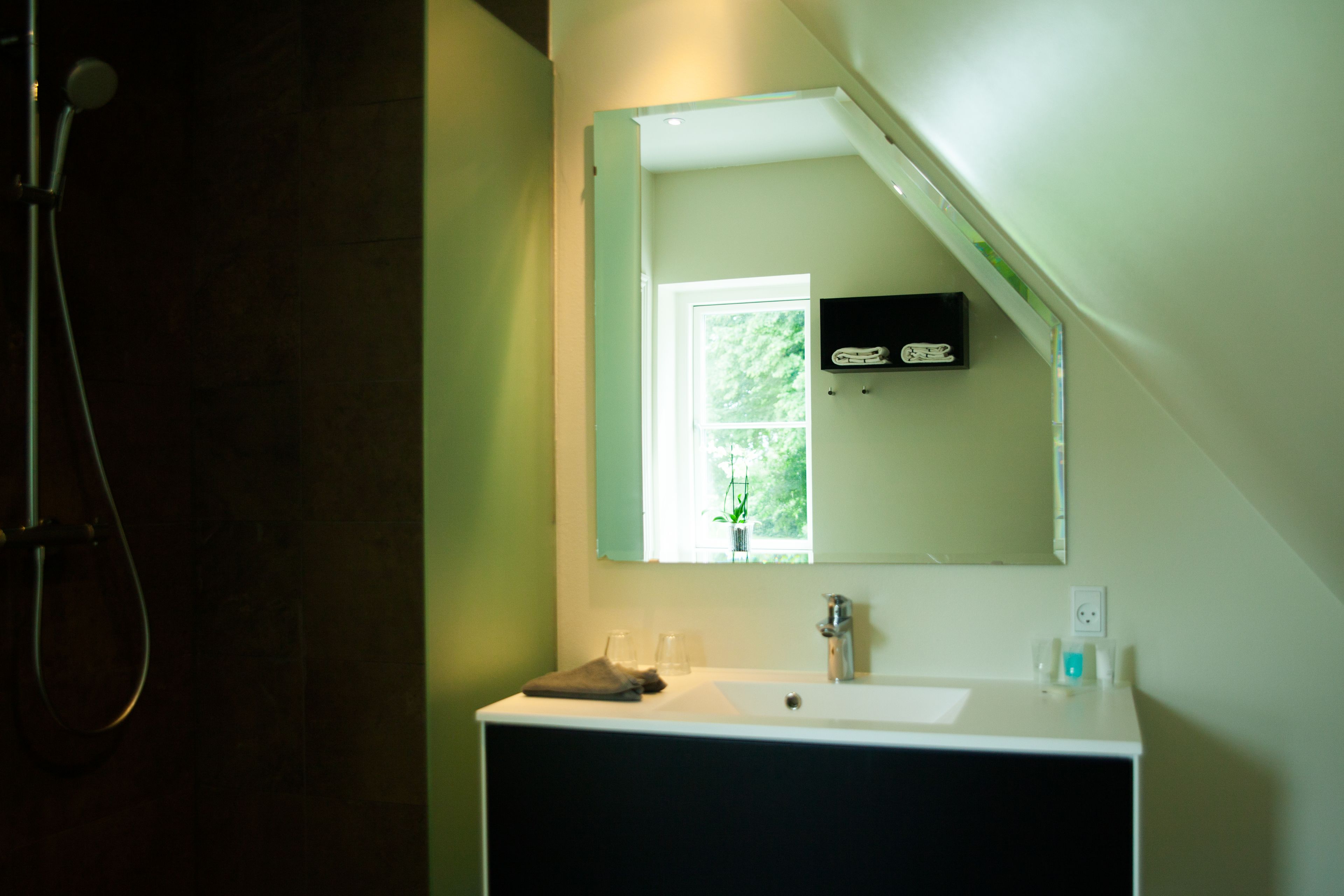 A bathroom with a white sink, a mirror, and a showerhead.