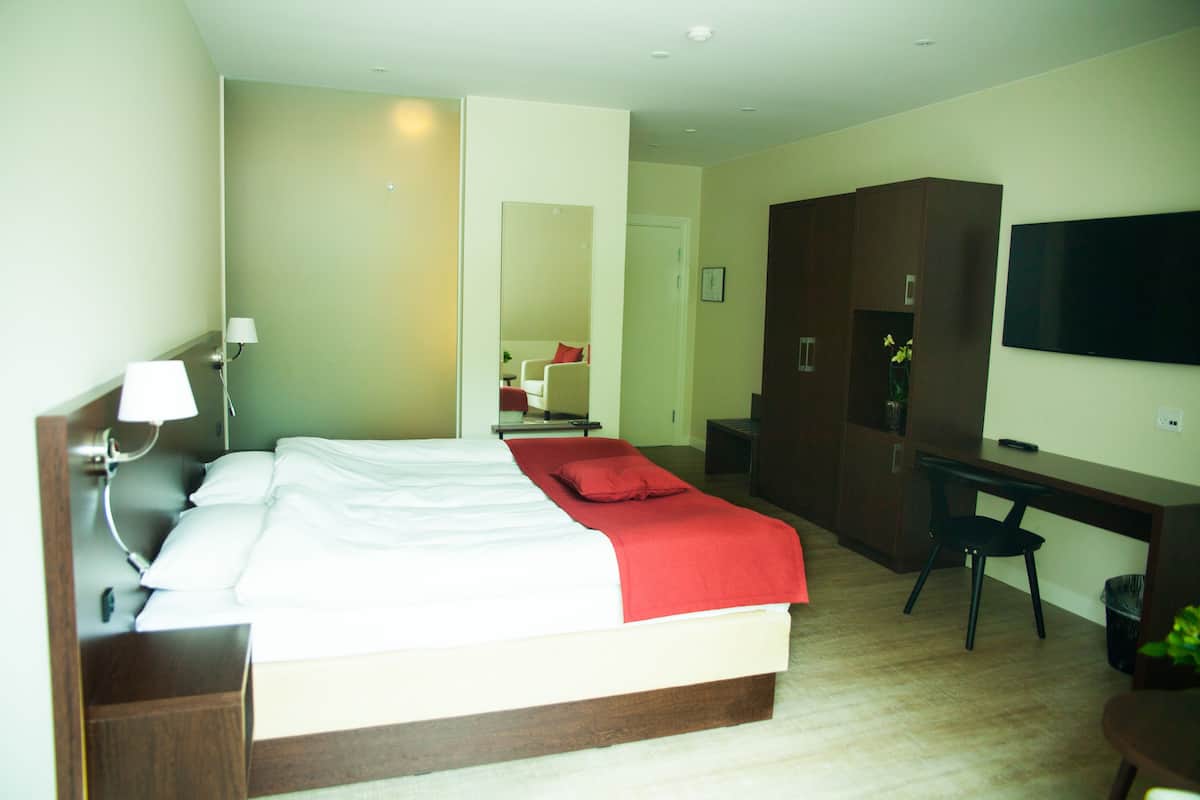 A hotel room with a bed, a desk, a chair, a TV, and a mirror.