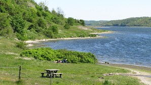 A lakeside picnic area with a wooden table and benches, surrounded by lush greenery and a clear view of the lake. - Hotel BramslevGaard (Hobro)