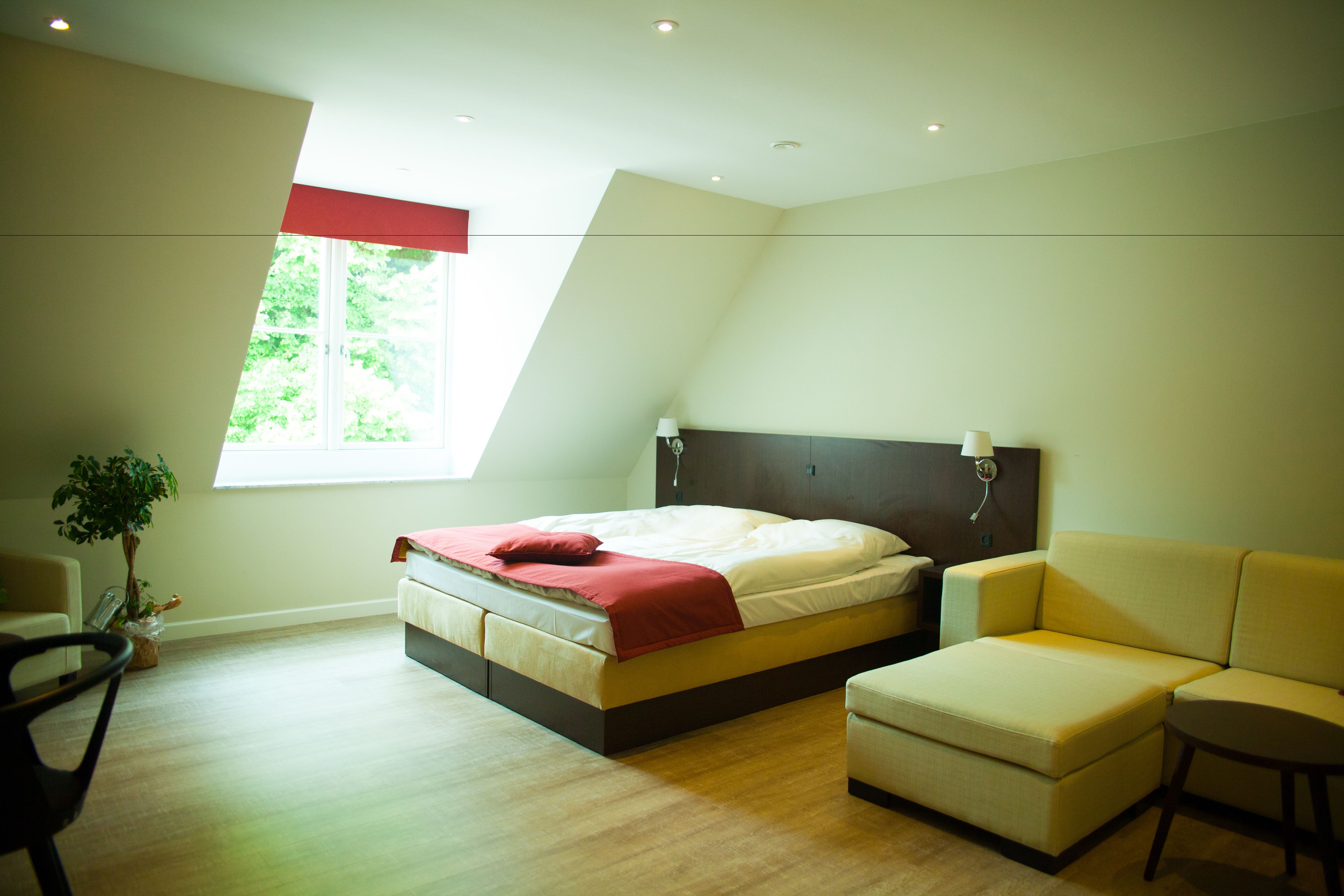A bedroom with a bed, a sofa, a chair, a window, and a plant.