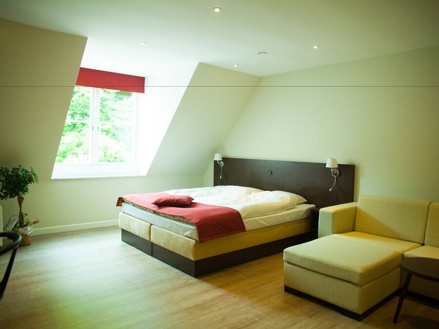 A bedroom with a bed, a sofa, a chair, a window, and a plant.