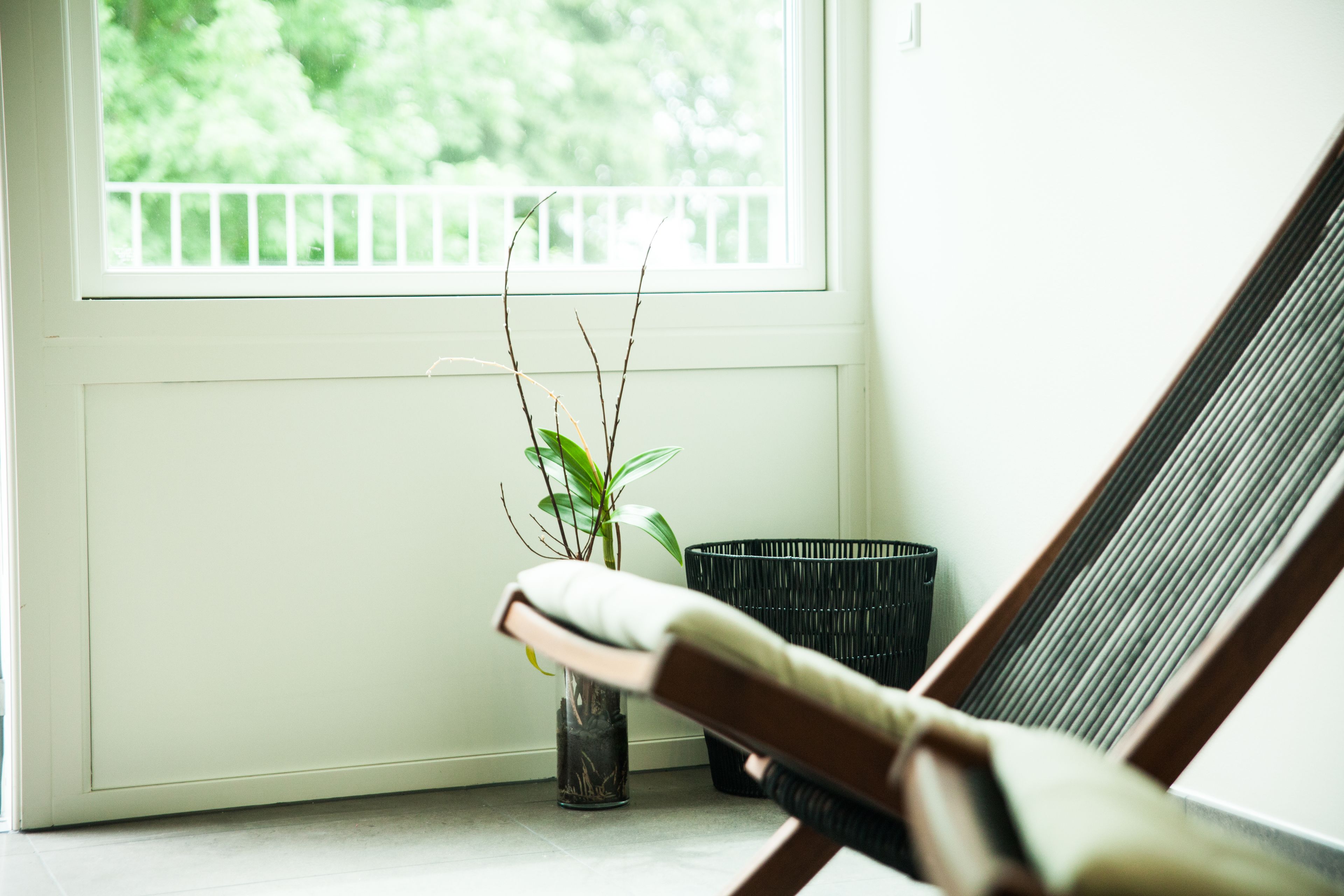 Una habitación con ventana, una planta en un jarrón y una silla.