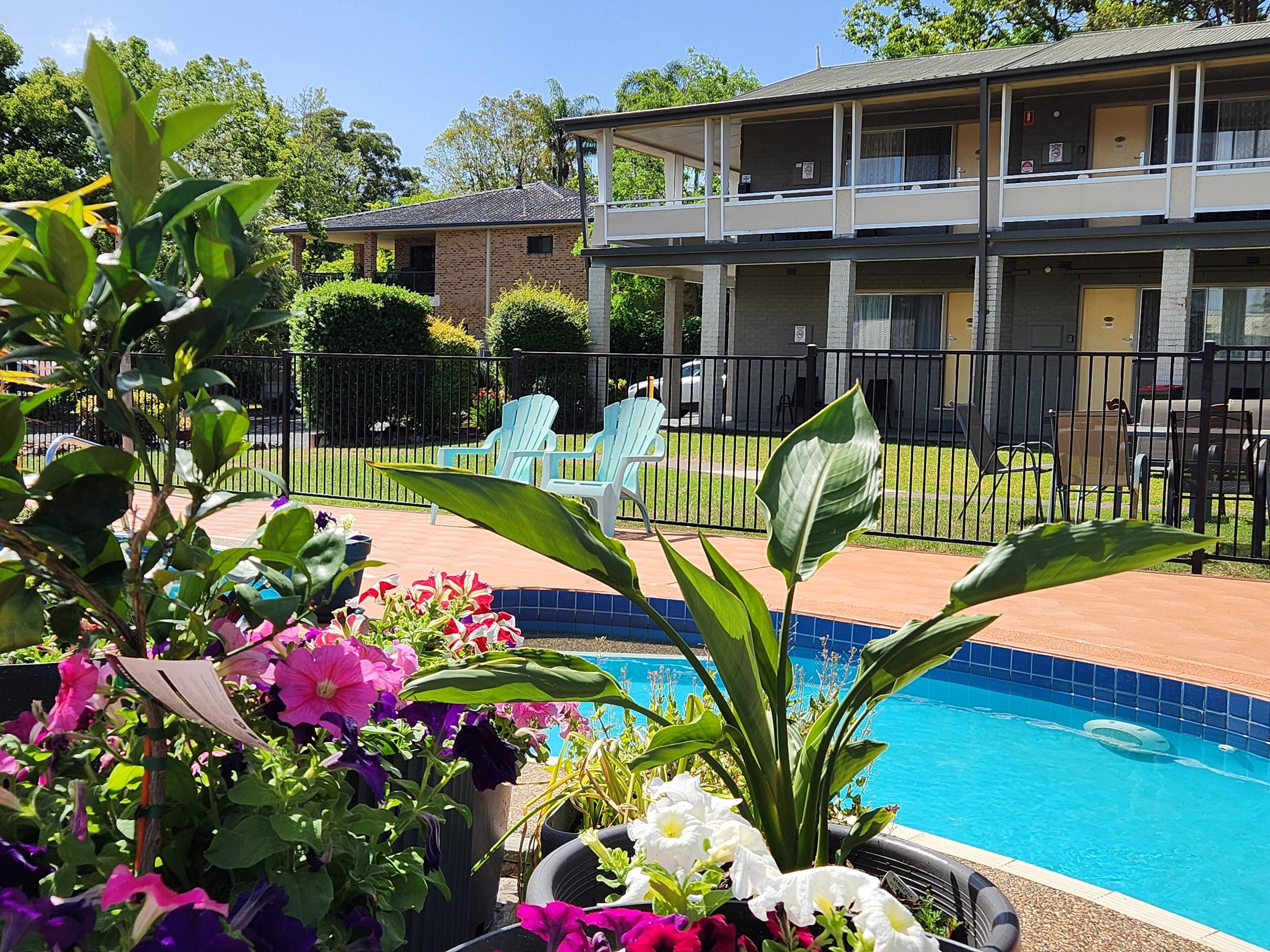 Outdoor pool, open 8:30 AM to 8:00 PM, pool loungers