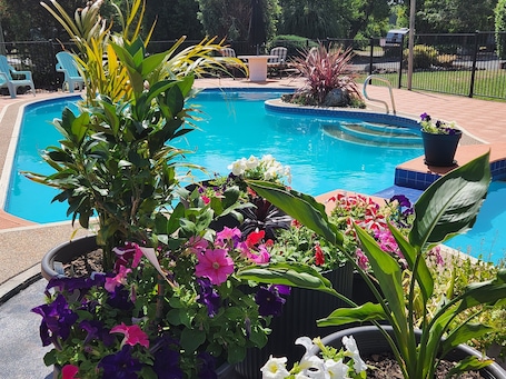 Outdoor pool, open 8:30 AM to 8:00 PM, pool loungers. Bucketts Way Motel