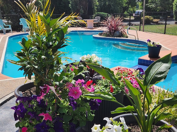 Outdoor pool, open 8:30 AM to 8:00 PM, sun loungers - Bucketts Way Motel (Gloucester)