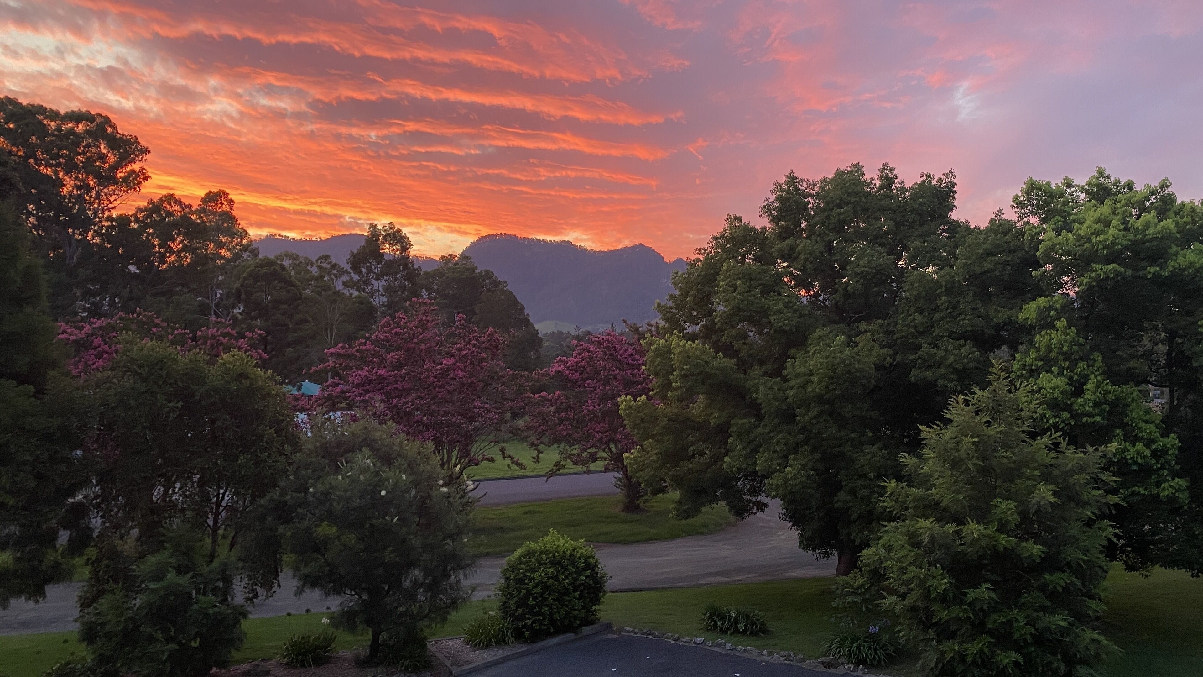 Quartiere residenziale con strada, alberi e un tramonto.