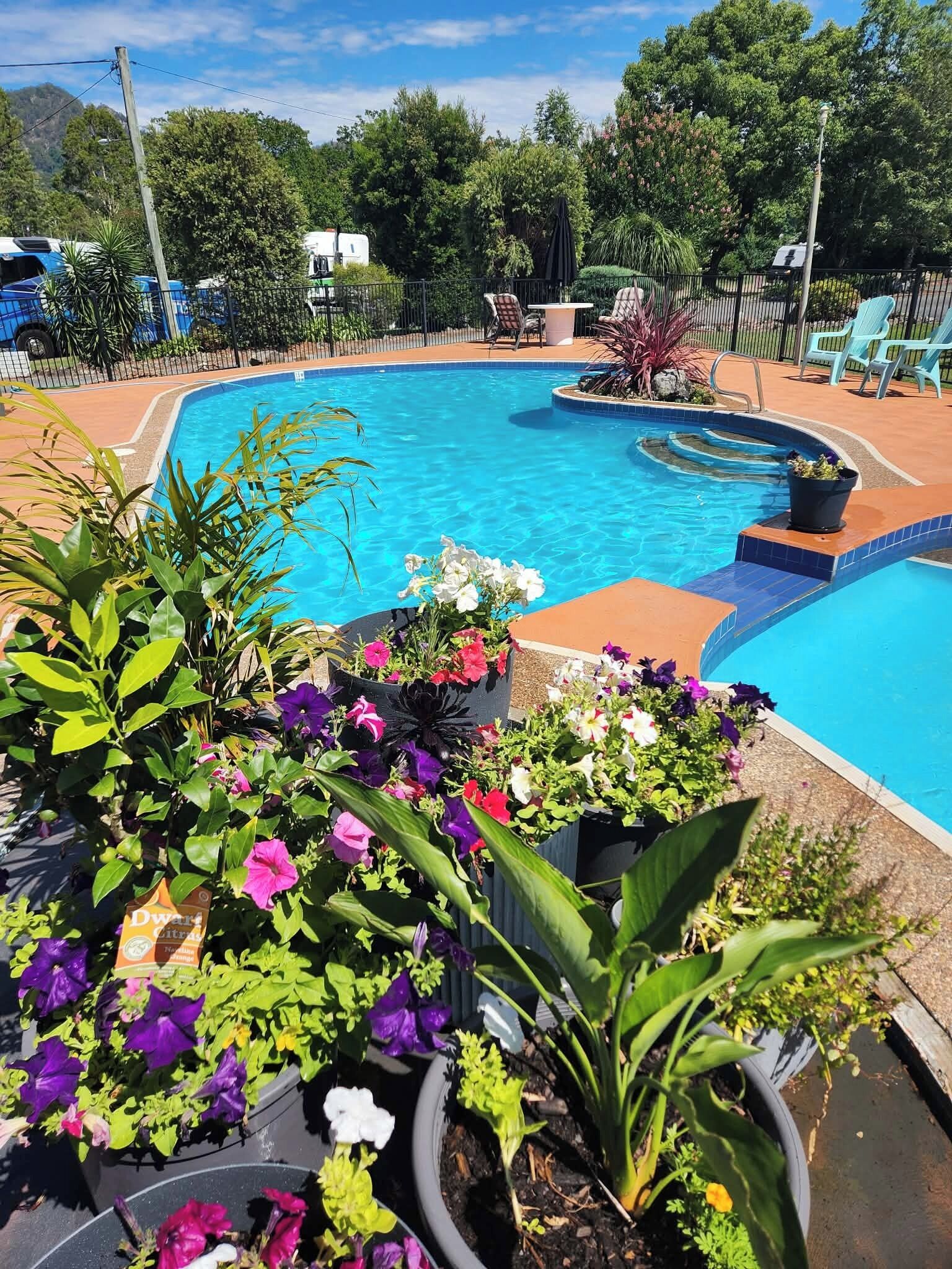 Una piscina al aire libre, sillones reclinables de piscina