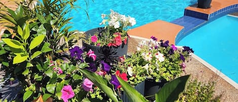 Una piscina al aire libre, sillones reclinables de piscina