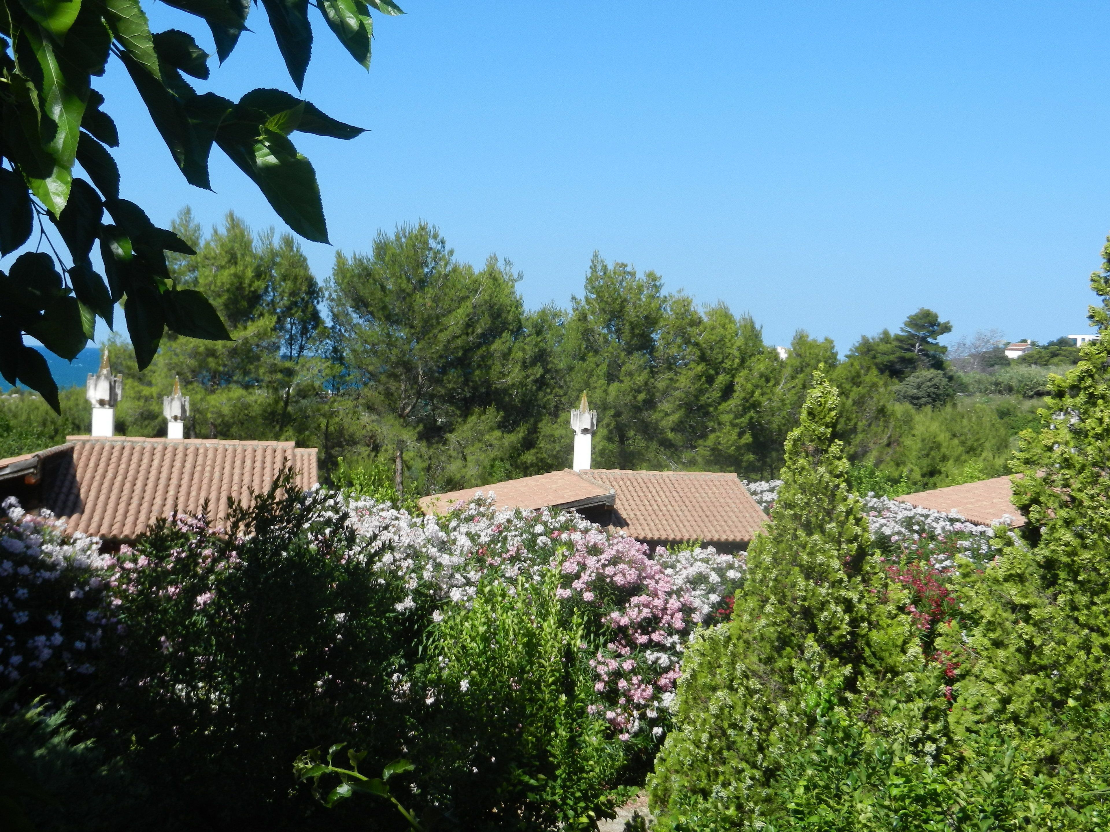Un bâtiment traditionnel, doté d’un toit en tuiles, entouré d’une végétation luxuriante et de plantes en fleurs.