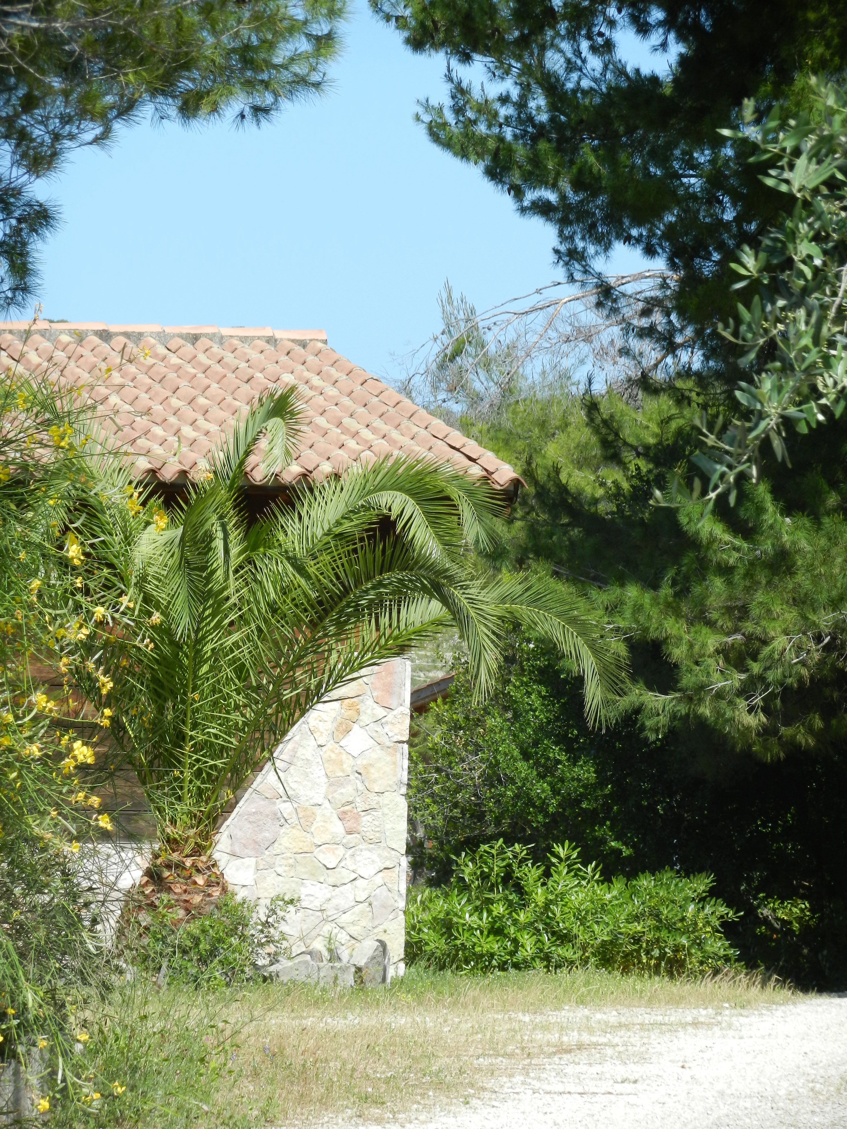 A stone building with a tiled roof, surrounded by greenery and trees.