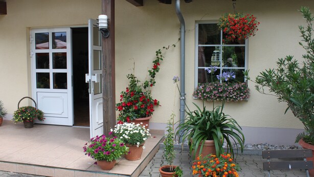 A house with a front door, potted plants, a bench, and a window with hanging flower baskets. - Landhotel Pockau (Lengefeld)