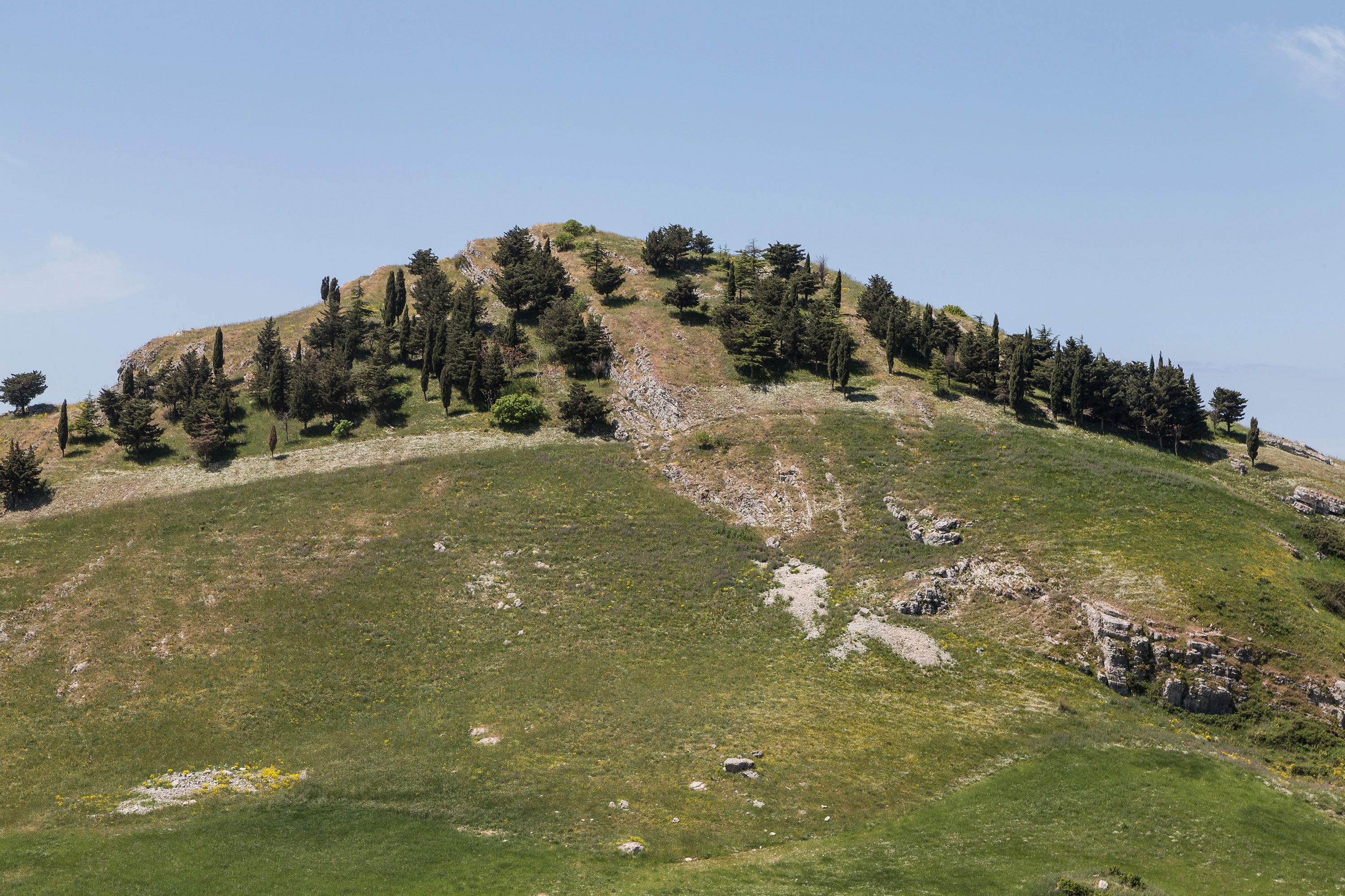 junior suite | minibar, in-room safe, cots/infant beds, rollaway beds