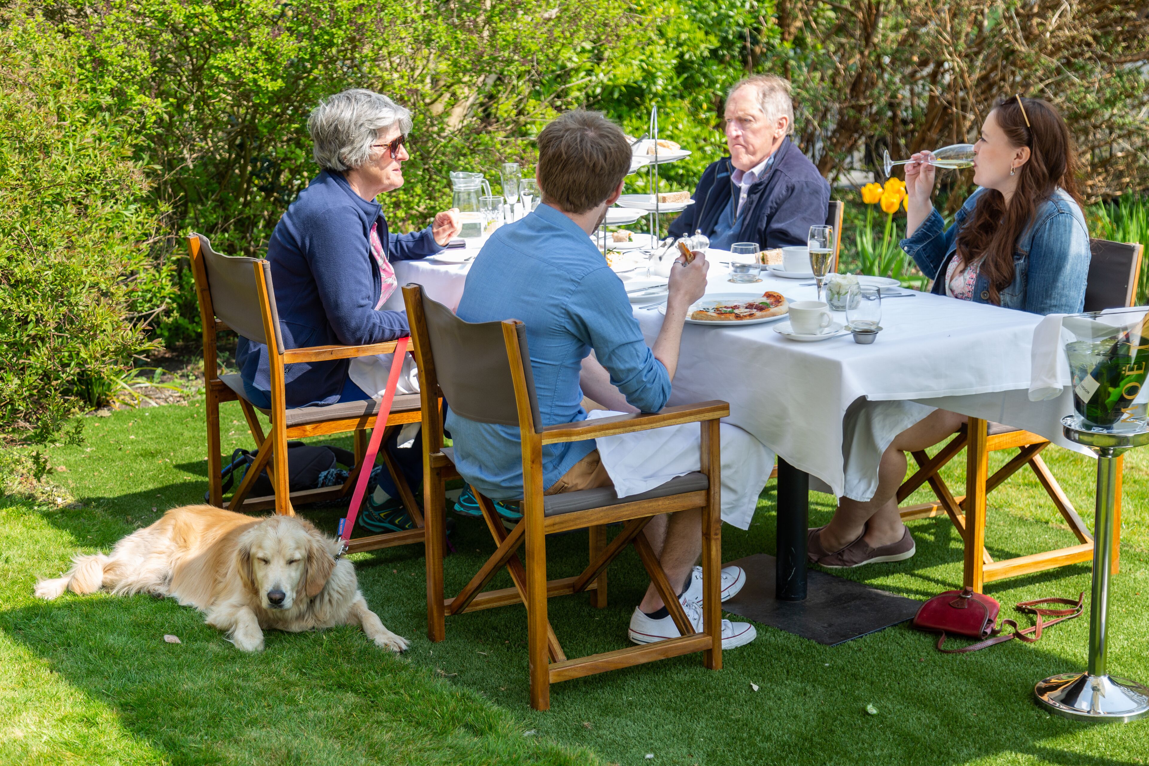 A group of people dining outdoors at a table with a dog lying on the grass nearby.
