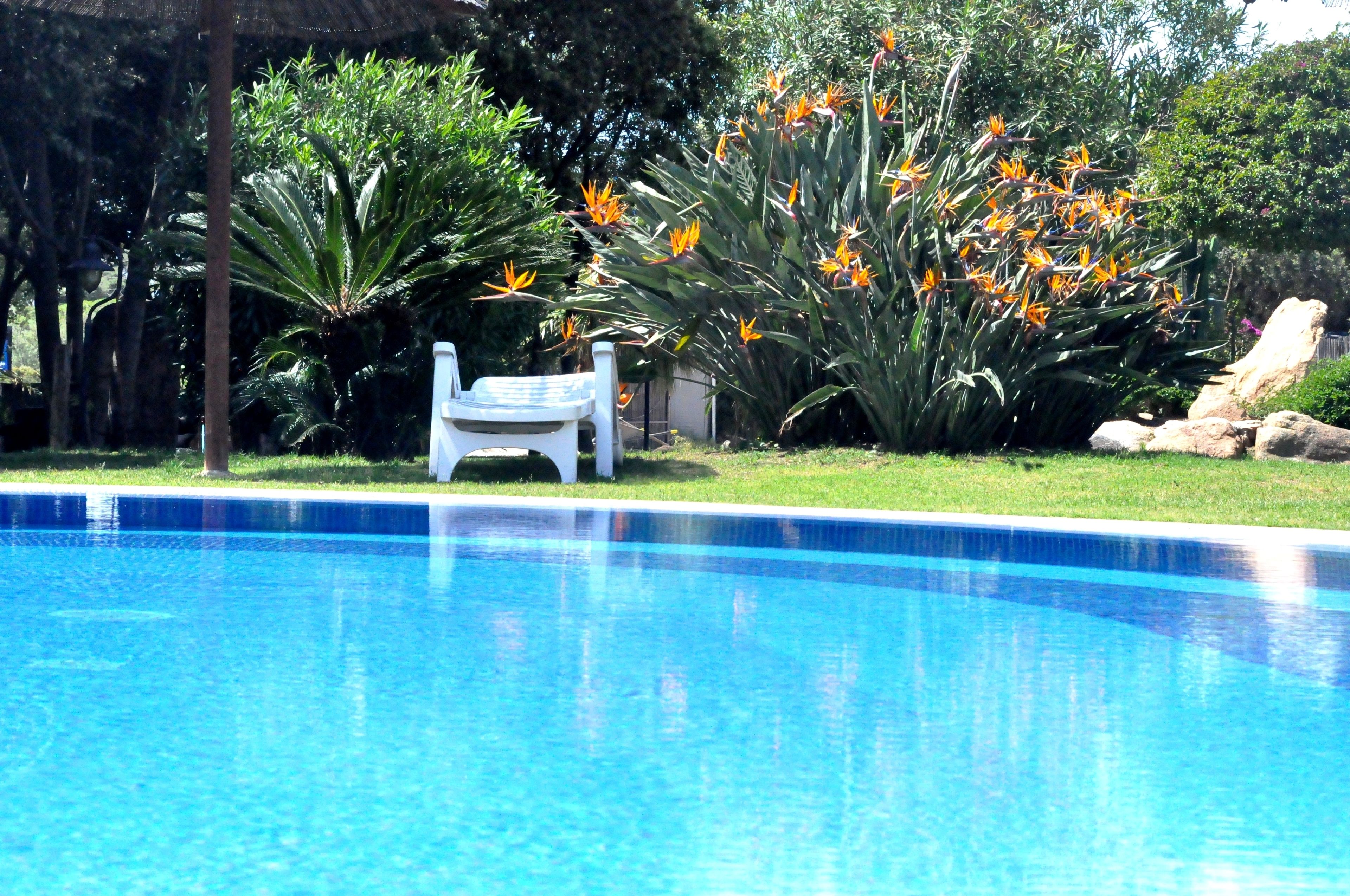 outdoor pool, pool umbrellas, pool loungers
