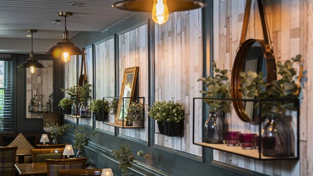 Un interior acogedor con paneles de madera, iluminación colgante y estantes con plantas y velas.