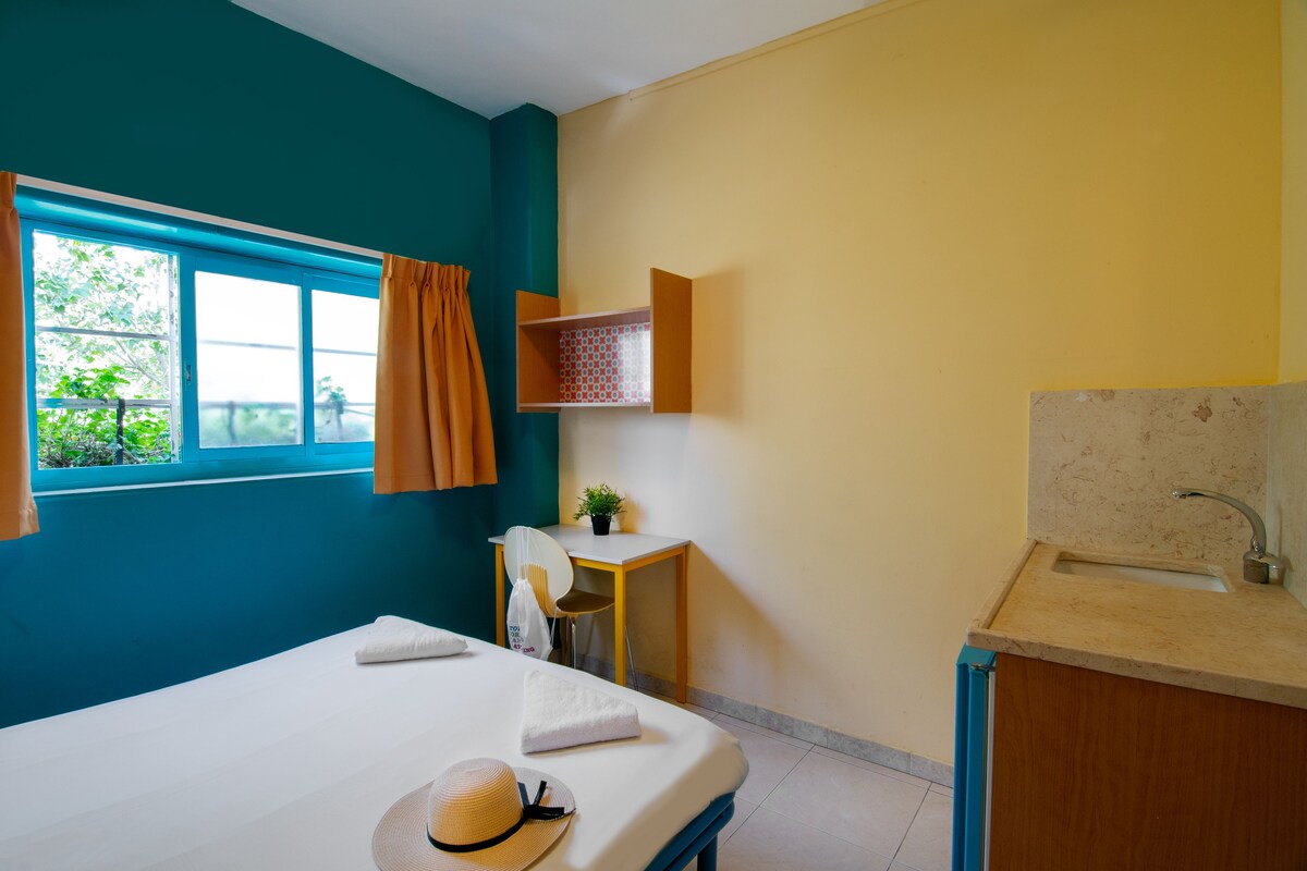 Una habitación con cama, escritorio, una planta pequeña y ventana con cortinas.