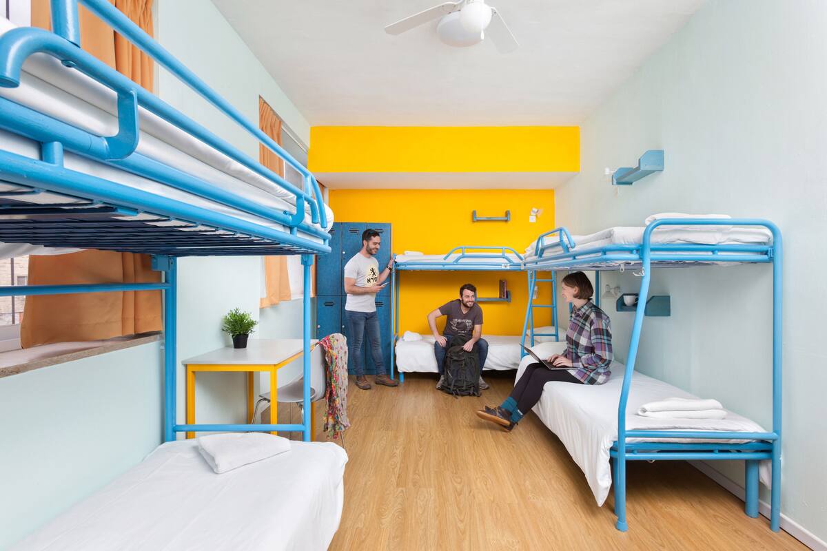 A dormitory room with bunk beds, a small table with a plant, and a ceiling fan.