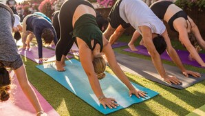 A group of people performing yoga on mats in an outdoor setting. - Abraham Jerusalem  (Jerusalem)