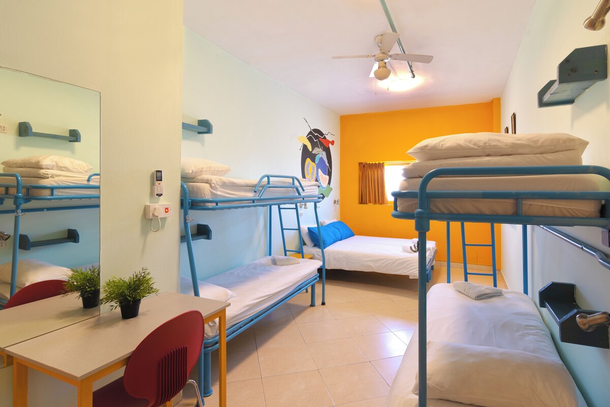 Un dormitorio con literas, un escritorio, sillas, un espejo y un ventilador de techo.