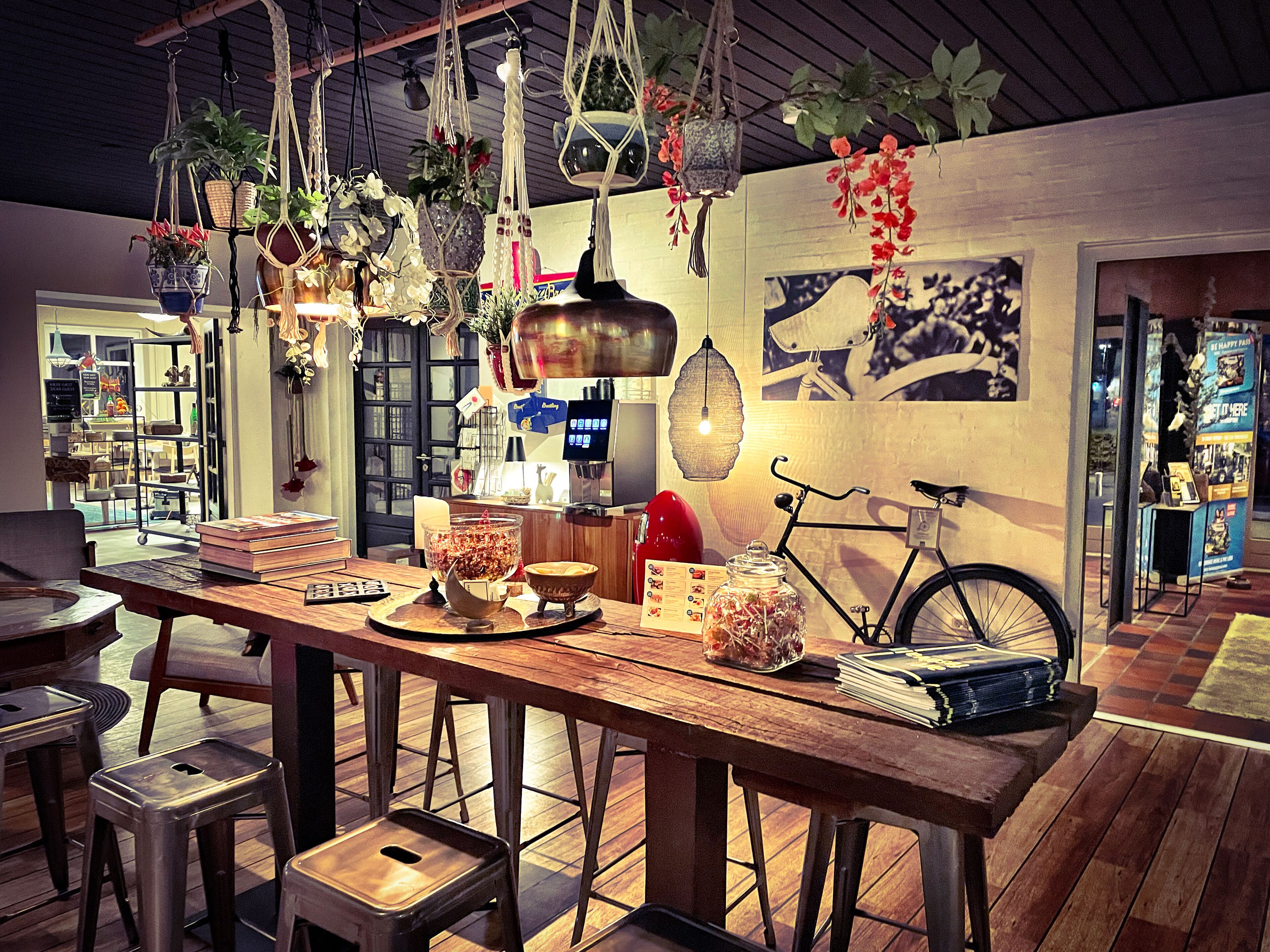 Um restaurante com mesa de madeira, plantas penduradas e uma bicicleta.