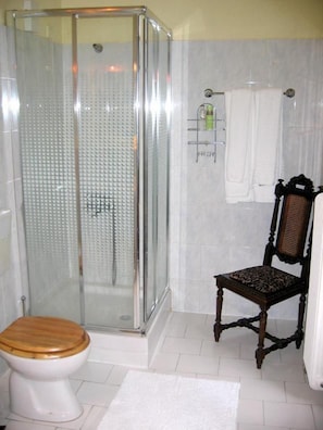 Habitación doble estándar | Regadera en el baño