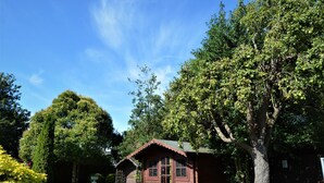 Une cabane en bois rustique, dotée d’un toit en pente, entourée d’une végétation luxuriante et de grands arbres.