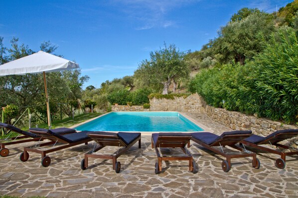 Alberca al aire libre por temporada y sombrillas en la alberca 