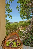 Una cesta de mimbre llena de manzanas verdes y rojas, colocada sobre un repisa de piedra con vistas a un viñedo y un cielo azul despejado al fondo.