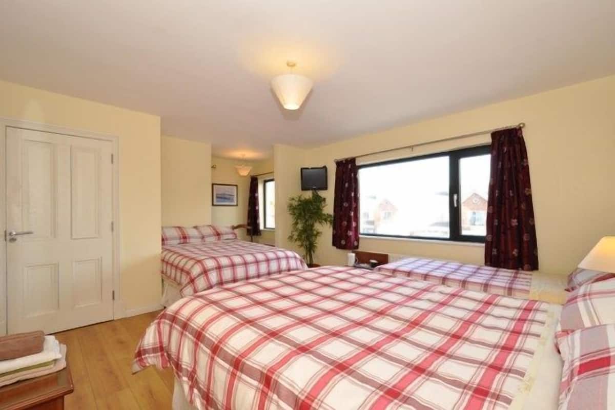 A room with two beds, a television, a window with curtains, and a door.