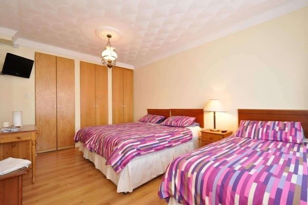 A bedroom with two beds, wooden wardrobes, a television, and a ceiling light fixture.
