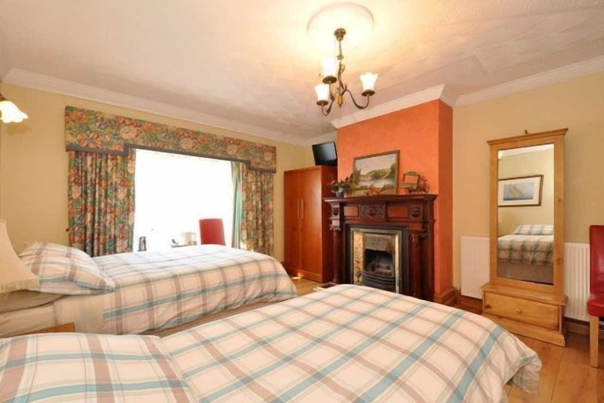 A room with two beds, a fireplace, a mirror, and a television.