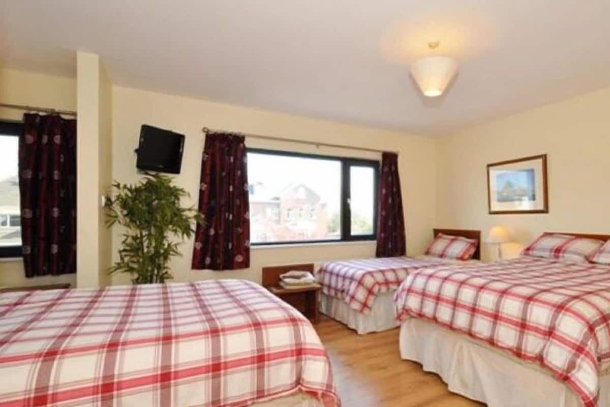 A room with three beds, a TV, a window with curtains, a plant, and a framed picture on the wall.