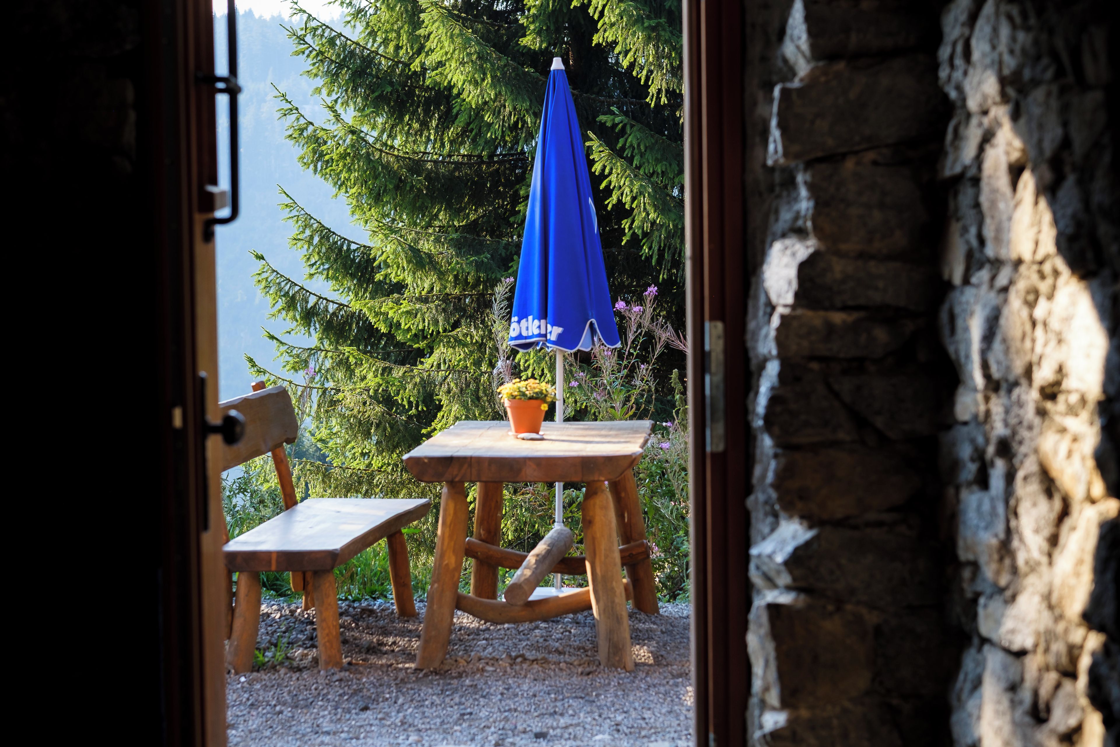 An outdoor seating area with a wooden table and chair, a blue umbrella, and a potted plant.