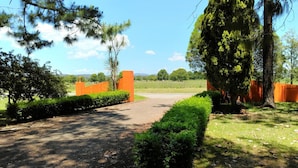 A paved driveway leading to a gated entrance with orange barriers, surrounded by well-maintained hedges and trees. - All Seasons Country Lodge (Taree South)