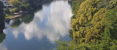 A river with a bridge, surrounded by dense greenery and residential buildings.