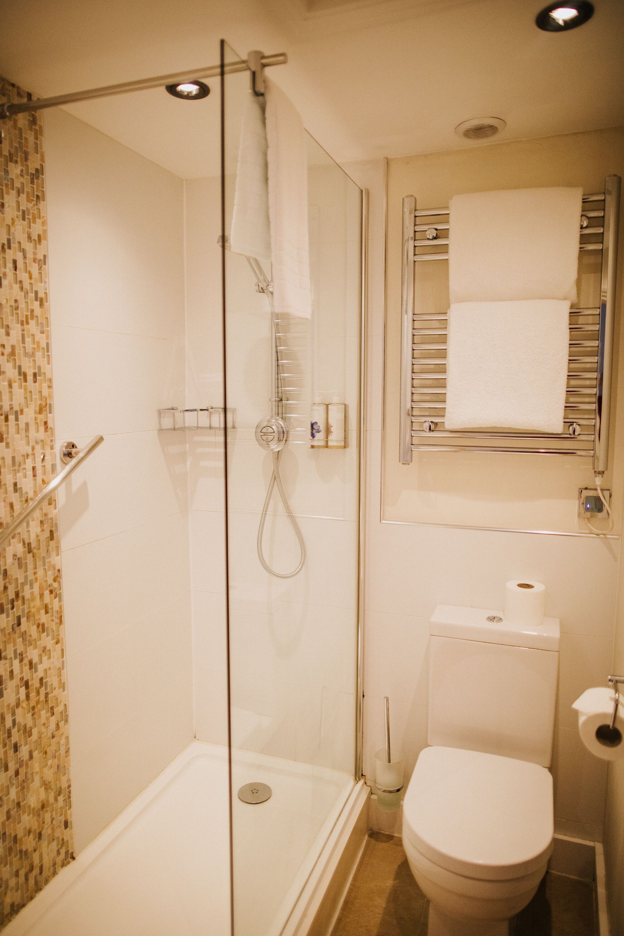 A bathroom with a glass-enclosed shower, a toilet, and a towel rack.