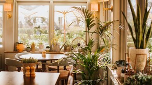 Un comedor con mesa de madera, sillas, plantas en macetas y vista a la vegetación.